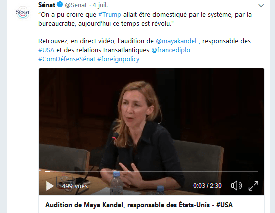 Capture tweet Sénat audition